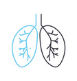 lungs line icon outline symbol vector image vector image