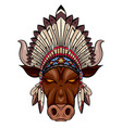 coloring a bull head with indian vector image vector image