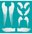heraldic wings set for tattoo or mascot design vector image