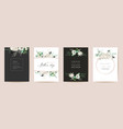 mothers day classic floral greetings vector image
