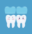 two funny cartoon tooths with the invisible brace vector image