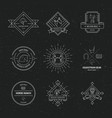equine hipster logo vector image