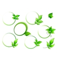 frames set with geen leaves vector image