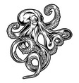 octopus drawing black amp white 4 vector image