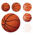 basketballs vector image