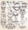 collection of calligraphic elements vector image