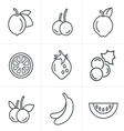 line icons style fruit set design vector image