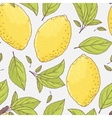 seamless pattern with hand drawn lemon and leaves vector image