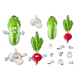 chinese cabbage garlic and radish vegetables vector image