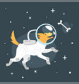 dog in space suit vector image