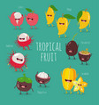 fruit on a bicycle vector image vector image