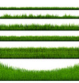 green grass border big collection vector image vector image