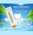 toothpaste advertizing healthy tooth protection vector image