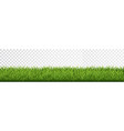 green grass border set on transparent background vector image