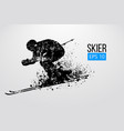 silhouette of skier isolated vector image vector image