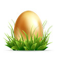 realistic golden egg and green grass isolated vector image