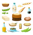 soya vegetarian products from natural vector image vector image