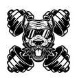 angry dog head with crossed gym barbells design vector image vector image
