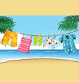 drying summer clothes vector image