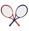 crossed rackets vector image