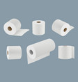 toilet paper white soft kitchen towel roll vector image vector image