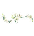 watercolor of white lily floral bouquet vector image