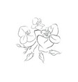 hand drawn orchid flower arrangement floral vector image vector image