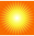 sunburst yellow orange ray background vector image