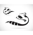 raccoons vector image