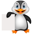 cute penguin cartoon holding blank paper vector image