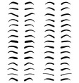 eyebrows tattoo design vector image vector image