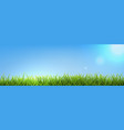 green grass panorama with blue sky vector image vector image