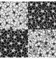 set beautiful black-and-white seamless vector image