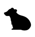 dark silhouette of raccoon vector image vector image