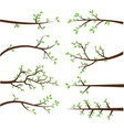 branch silhouettes elements vector image vector image
