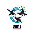 sea seal emblem vector image