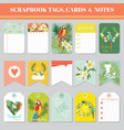 tropical flowers and parrots theme for tags cards vector image