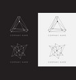 set black and white lattice shape symmetric lined vector image