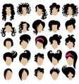 hair styling vector image