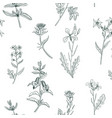 seamless pattern with drawing herbs and flowers vector image vector image
