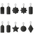 set price tags vector image