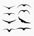 flying birds silhouettes in set on white vector image