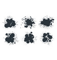 abstract ink splash black paint drops and spots vector image