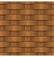 basket texture vector image vector image