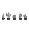 cute hand drawn cactuse in pots set vector image