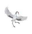 White japanese crane flying away with open wings Vector Image