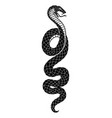 angry snake icon vector image