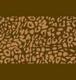 abstract modern leopard seamless pattern animals vector image