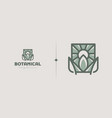 botanical plant logo template universal creative vector image vector image