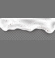 beer foam isolated on transparent background vector image vector image